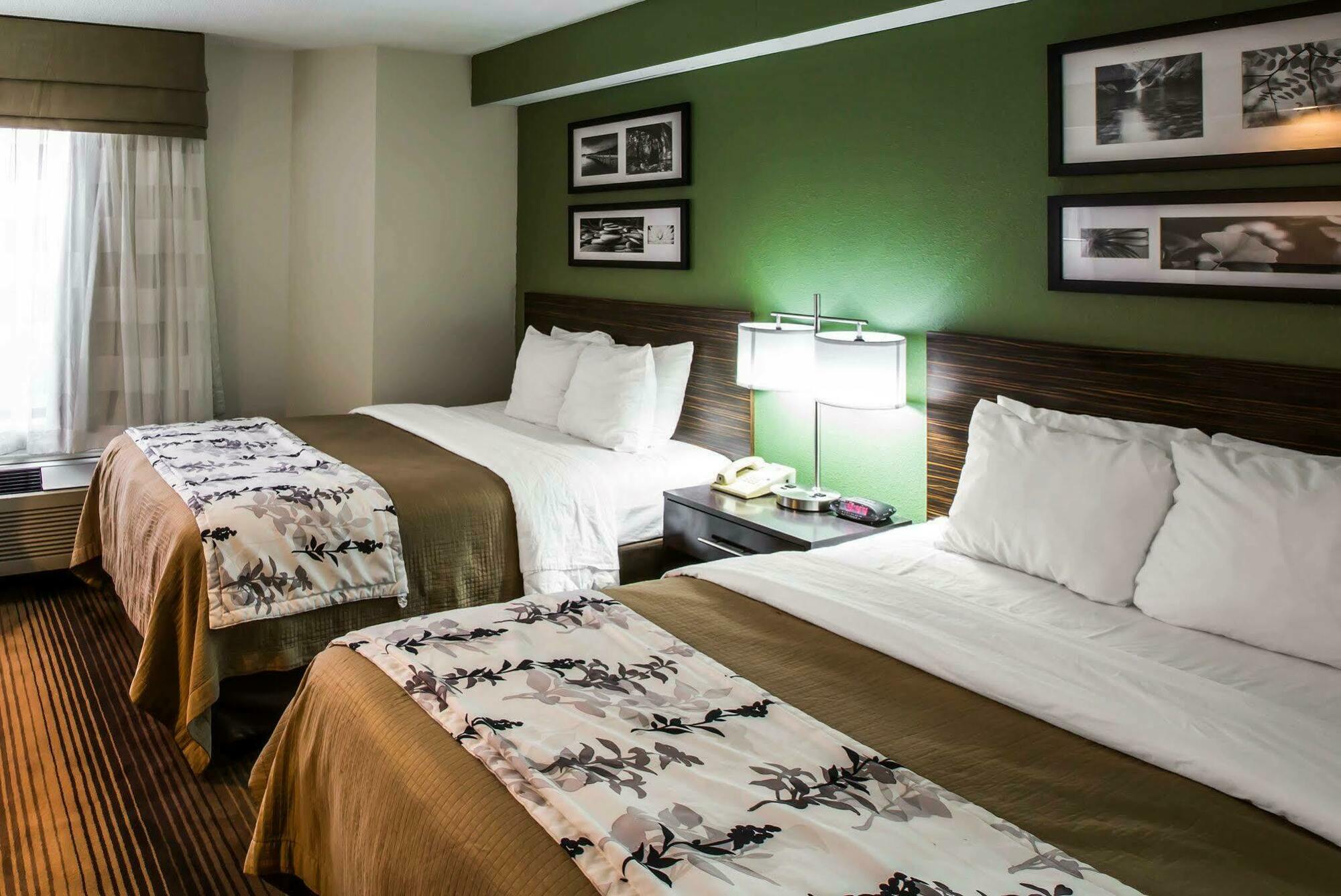Sleep Inn & Suites Kingsport Tricities Airport Luaran gambar